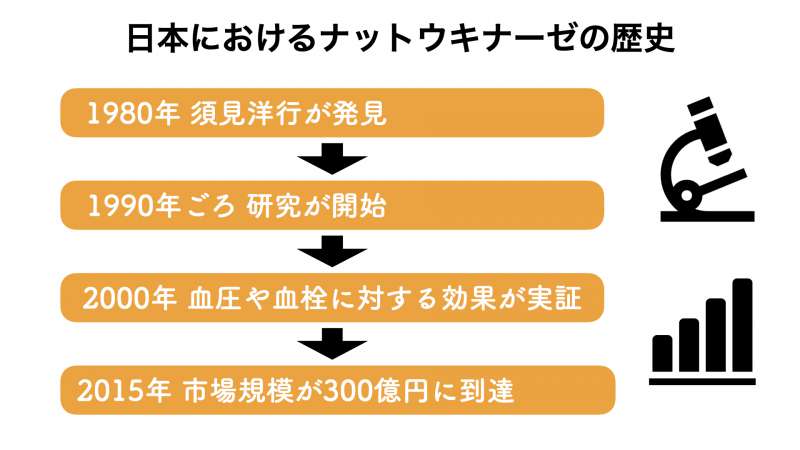 日本におけるナットウキナーゼの市場